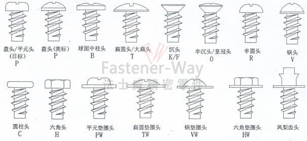 不同头型螺丝-简图-水印