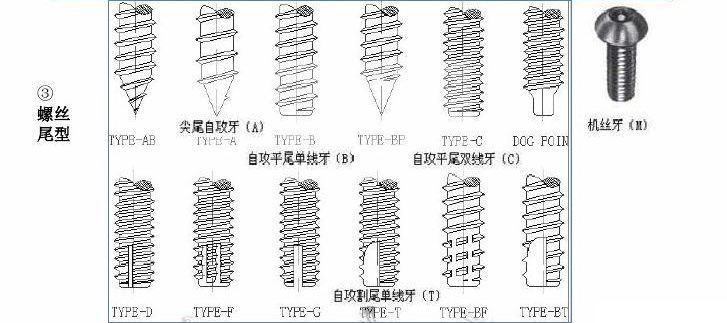 自攻螺丝尾型