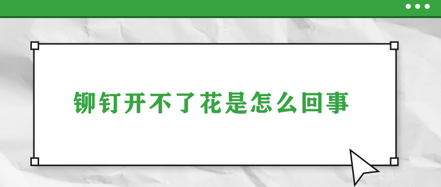 铆钉开不了花是怎么回事